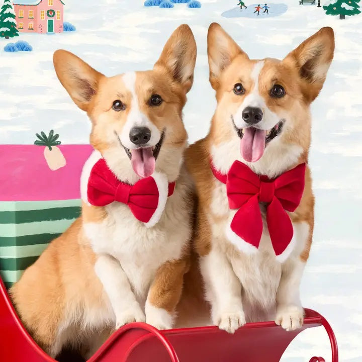 Two corgi dogs wearing red holiday bow accessories sit in a festive sleigh against a snowy winter illustration background.