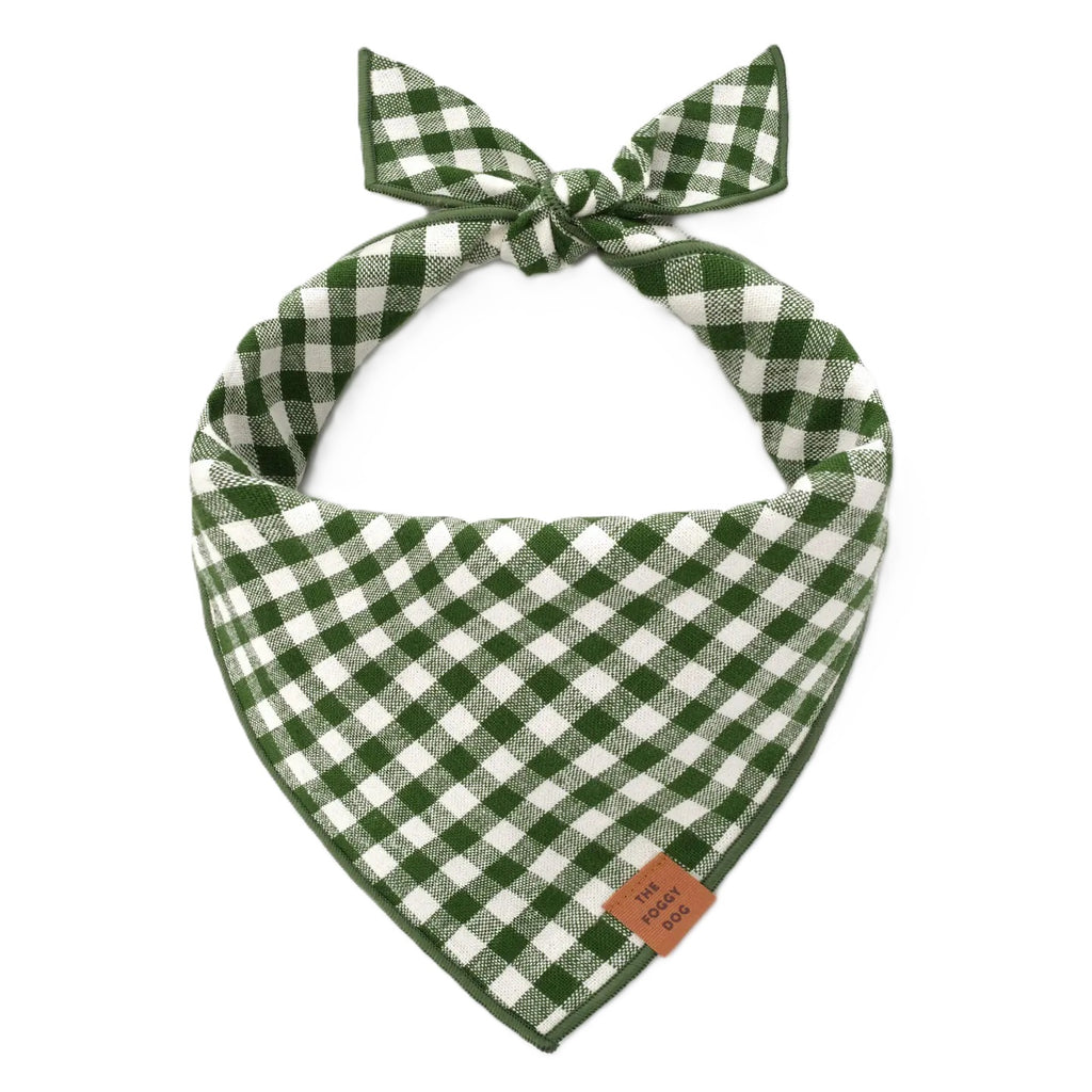 Green and white checkered dog bandana with a bow on a white background