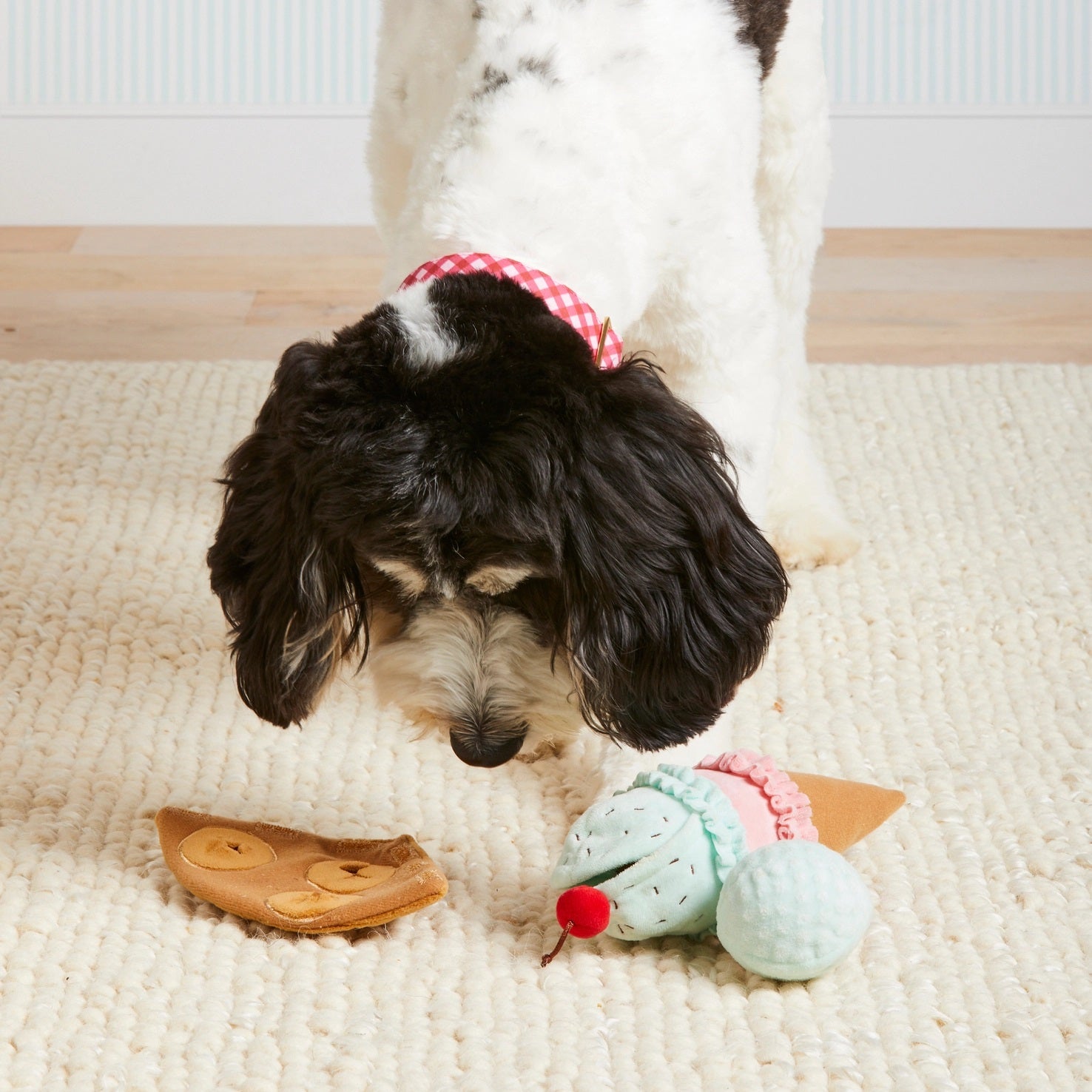 Dog playing with toys on a carpeted floor