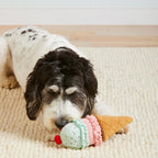 Dog playing with a toy ice cream cone on a carpeted floor