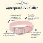 Pink waterproof PVC collar with features listed on a white background from "Lucy & Co".