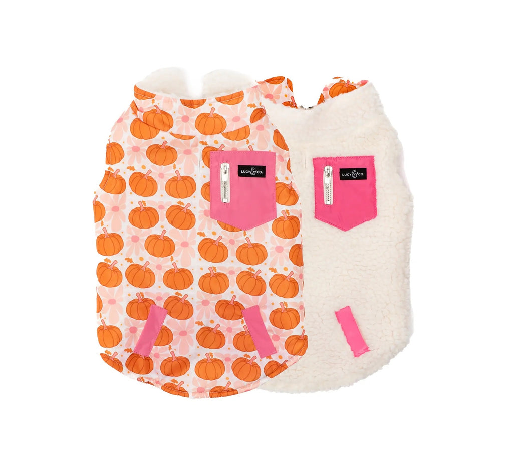 Dog vest with pumpkin pattern and pink accents on a white background
