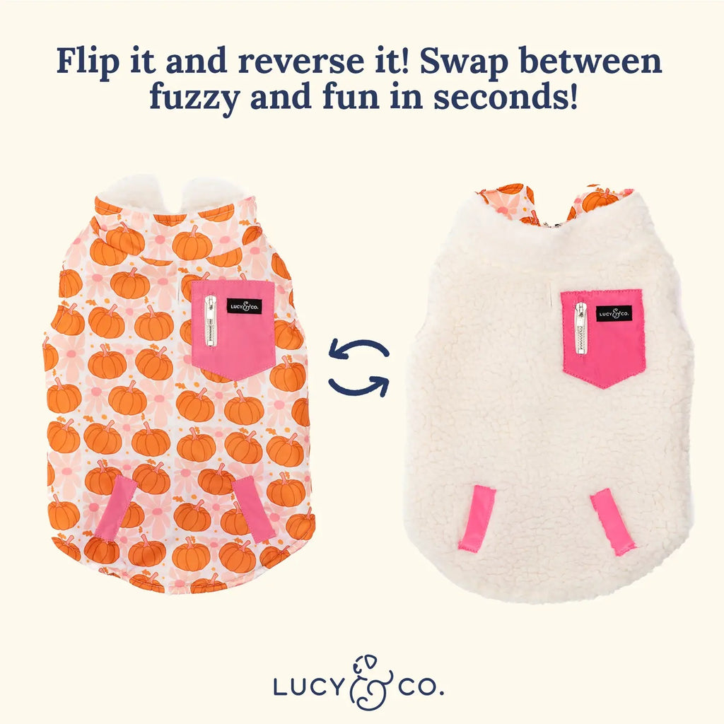 Two reversible dog coats with pumpkin pattern and pink pocket, showing the fluffy side and patterned side. Brand 'Lucy & Co.