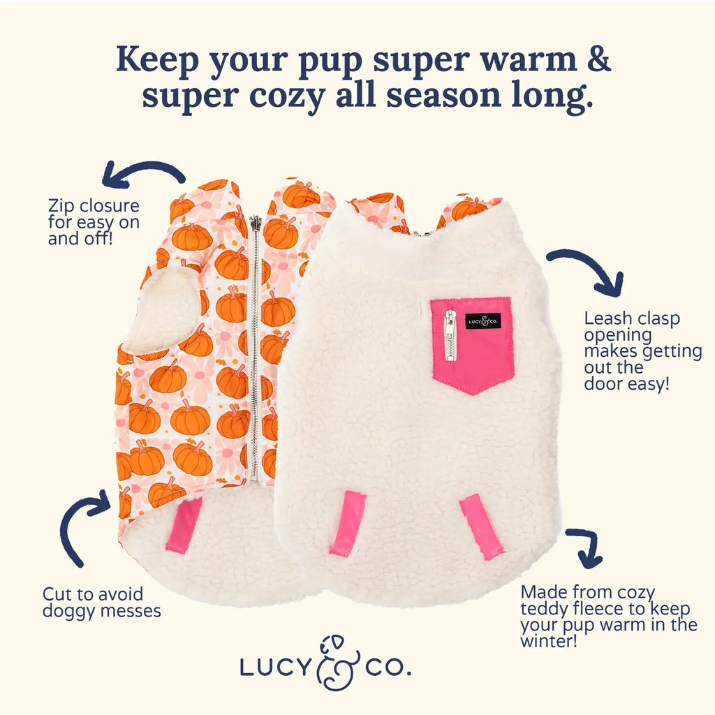 Dog coat with pumpkin pattern and pink accents, featuring text describing features and brand 'Lucy & Co'.