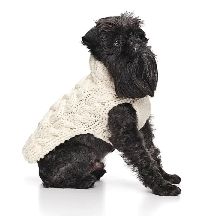 Small dog wearing a wool white knitted sweater on a white background