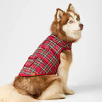 Dog wearing a red plaid coat on a white background