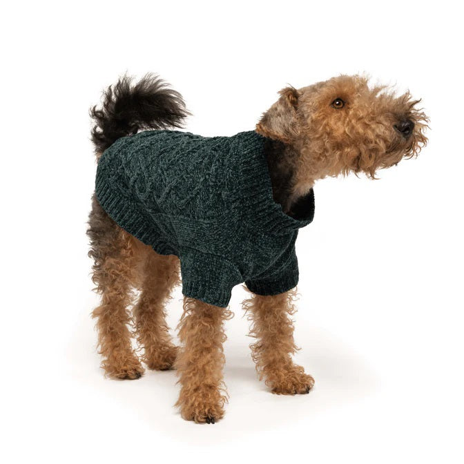 Dog wearing a green chenille sweater on a white background