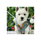 White dog wearing a coat with colorful patterns, sitting in front of a decorated Christmas tree.