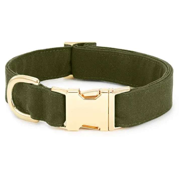 Green dog collar with a gold buckle on a white background