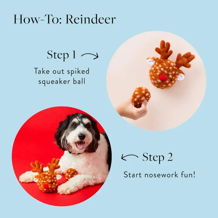 Instructions for using a reindeer-shaped dog toy with text on a blue background