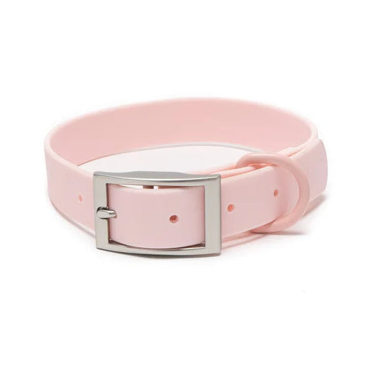 Pink waterproof dog collar with a silver buckle on a white background