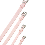 Pink dog collars with silver buckles on a white background