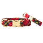 Red plaid dog collar with gold buckle on a white background